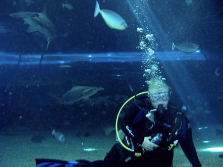 Maui Ocean Center