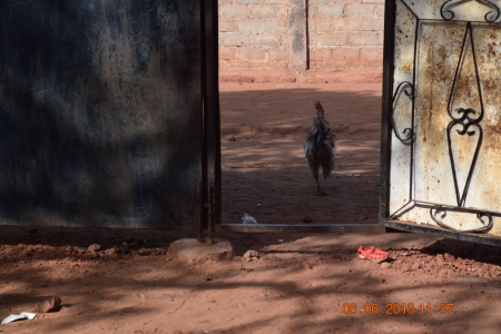 Barra, The Gambia