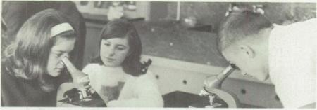 Mary Ellen Barger's Classmates profile album