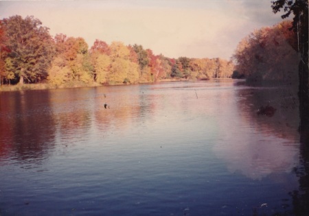 Big Rapids, MI backyard