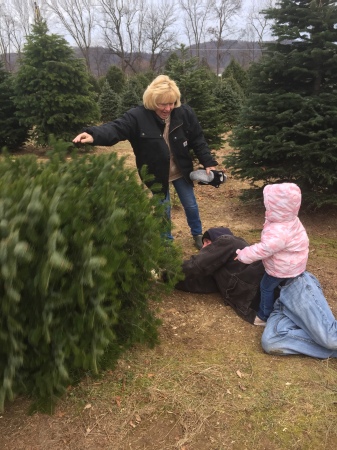 Getting The Tree Christmas 2018