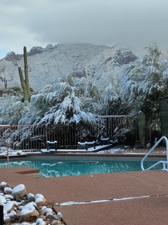 Rare Snow in Arizona 