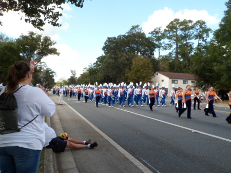 UF Homecoming Parade 2015