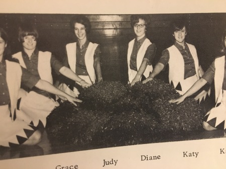 Diana Franklin's Classmates profile album