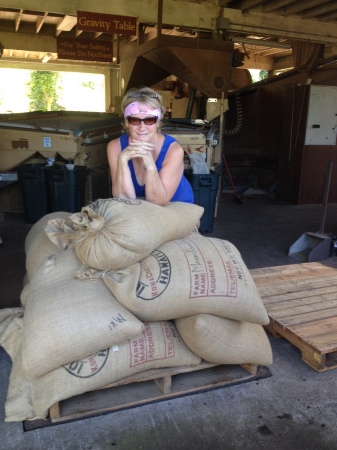 Workaway on Hawaiian coffee farm