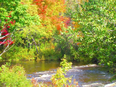 Lynette Obeck's album, Dazzling jeweled Autumn