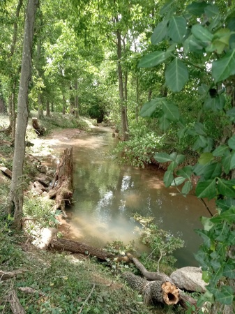 Park where I walk. Pretty and peaceful.