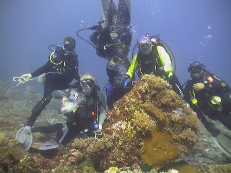 My dive group. I'm lower left