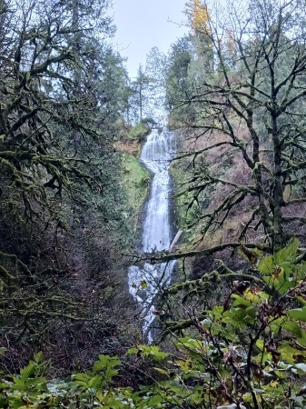 Munson Falls, Tillamook OR