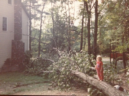 Damage from Hurricane Bob 1991