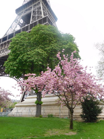 Springtime in Paris (2)