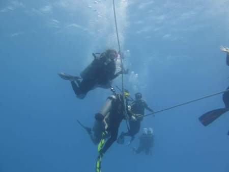 Scuba diving in Oahu