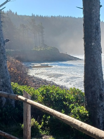 Cape Lookout State Park,Tillamook Coast 