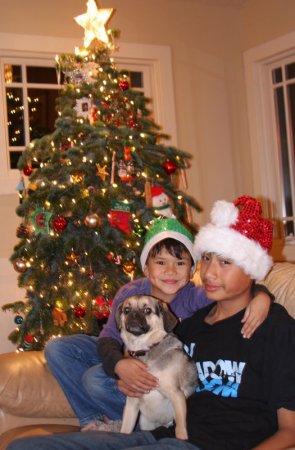 Mackie, Tyler and Pizmo Christmas 2011