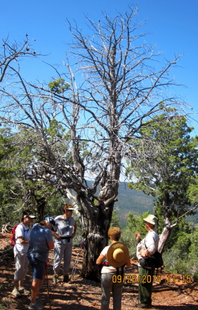 Fred Searing's album, Hikes 2014