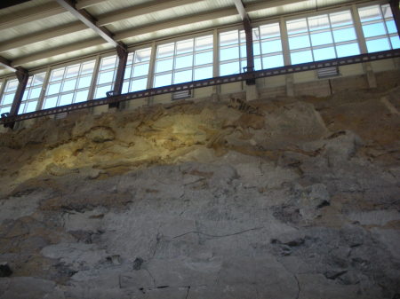 Dinosaur National Monument