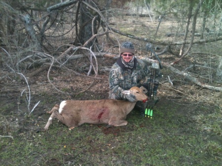 Sika deer