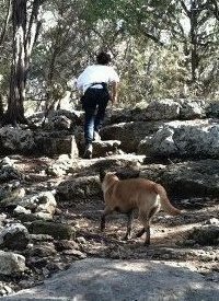 My Hachi and Me Hiking