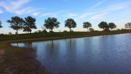 George Bush Park