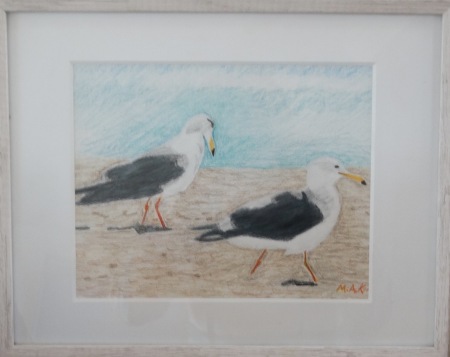 Gulls at the Shore