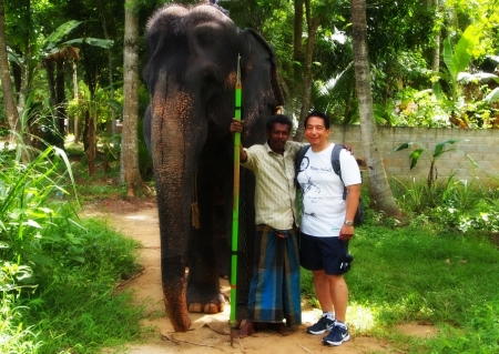 Pinnawalla Elephant orphanage