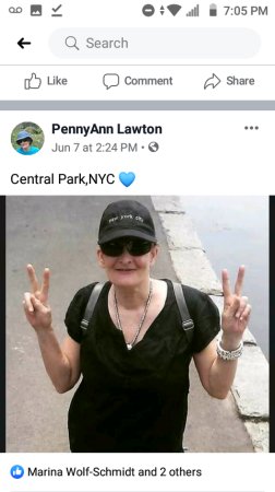 Penny Lawton's Classmates profile album