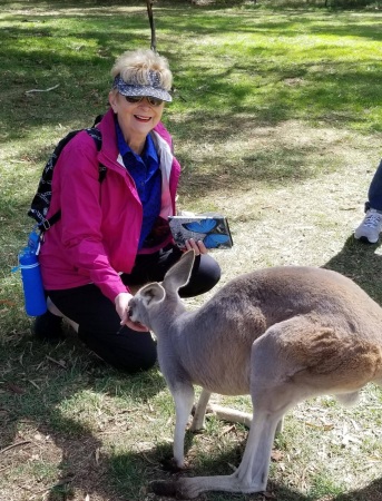 Cleland Wildlife Park