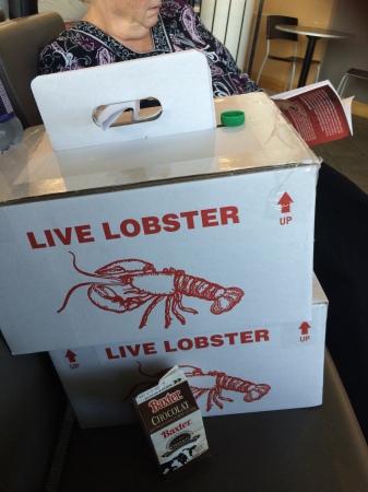 Can't Leave Moncton without live lobsters ! 