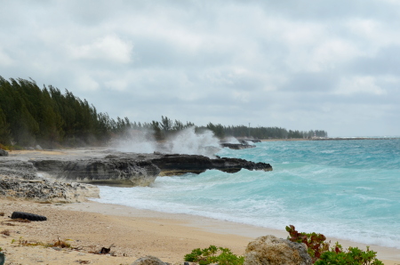 Weston Wishart's album, Key West & Bahamas