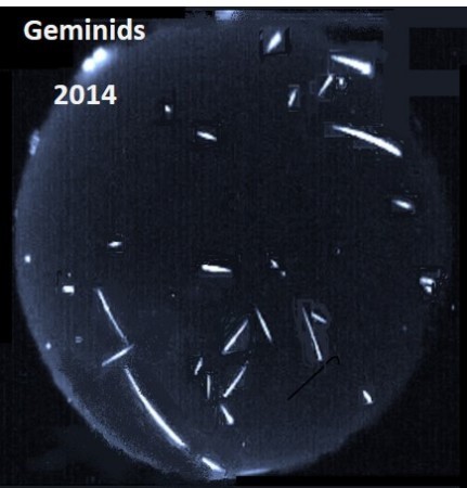 Allsky View of Geminids, 2014