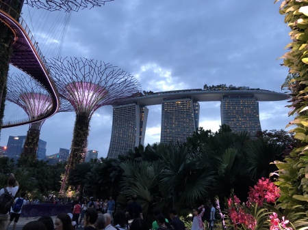 Marina Bay Sands Hotel, Singapore, Jan. 2019