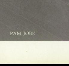 Pamela Jobe's Classmates profile album