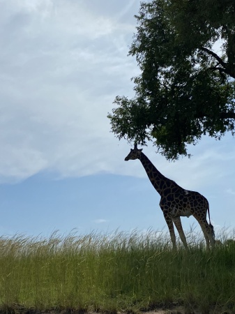 Queen Elizabeth Natl Park, Uganda