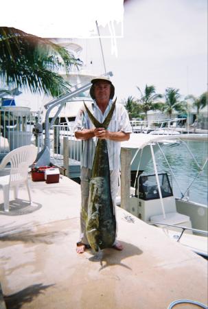 35 lb. Dolphin Key Colony Beach