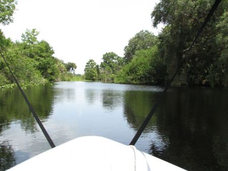 Tom Bridges' album, Kissimmee River July 21-29, 2013