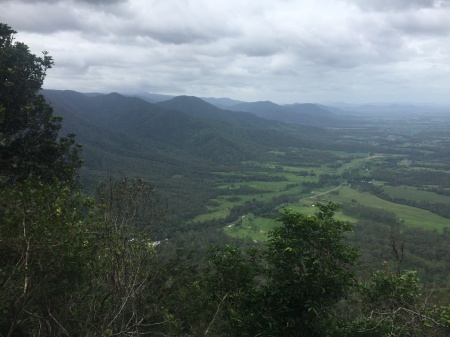 Daintree Rain Forest, Australia