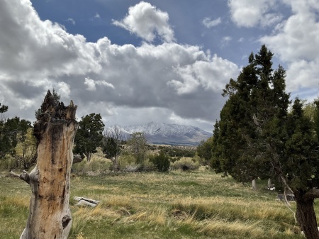 Mt Pinell from the Cat Ranch