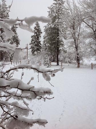 Winter wonderland in Montana