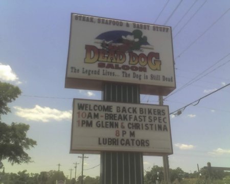 Dead Dog Saloon