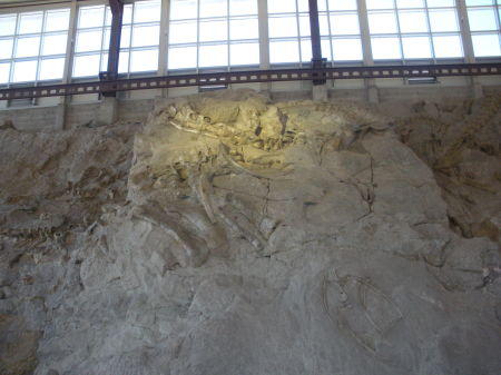 Dinosaur National Monument