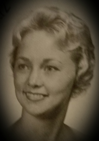 Carol Johnson's Classmates profile album