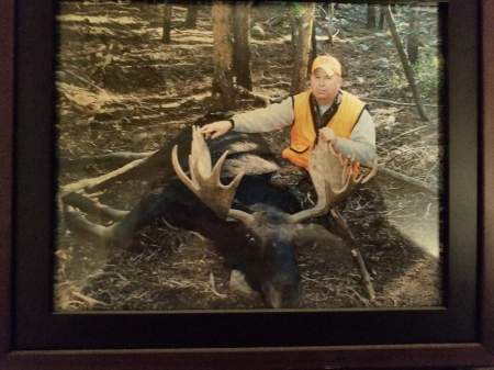 Moose  hunt September of 2011