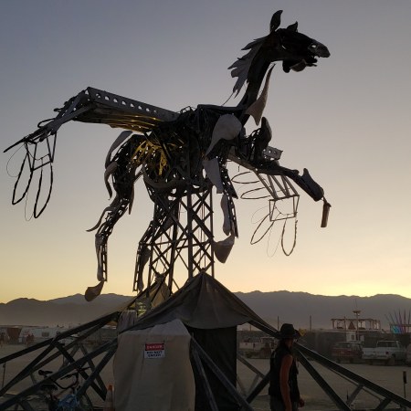 BurningMan 2019 Pegasus