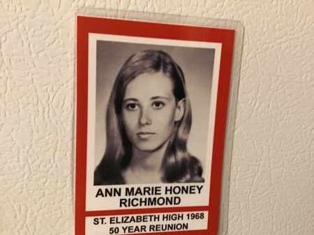 Anne-Marie Honey's Classmates profile album