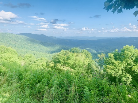 BLUE RIDGE PARKWAY N.C. / SUMMER '22