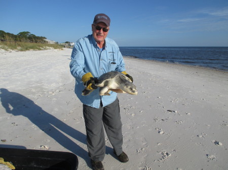 William Wargo's album, Alligator Point Sea Turtle Patrol 