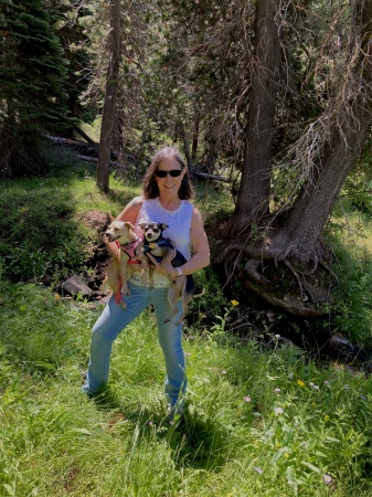 Besore Meadow, Sierra National Forest, CA