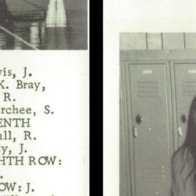 Laurel Miller's Classmates profile album
