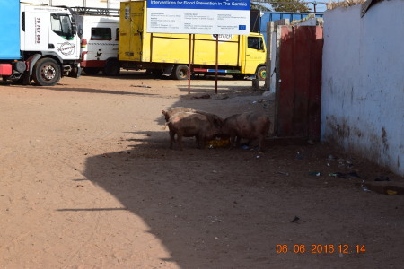 Barra, The Gambia