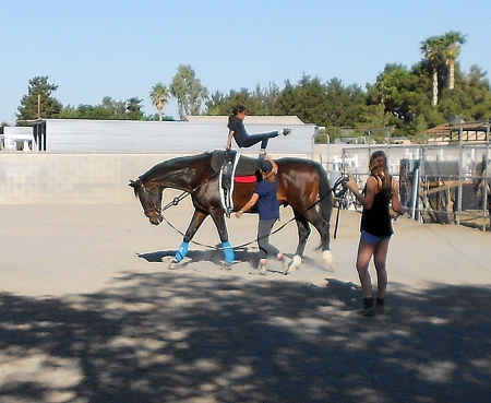 grand daughter Zoie  learning vaulting